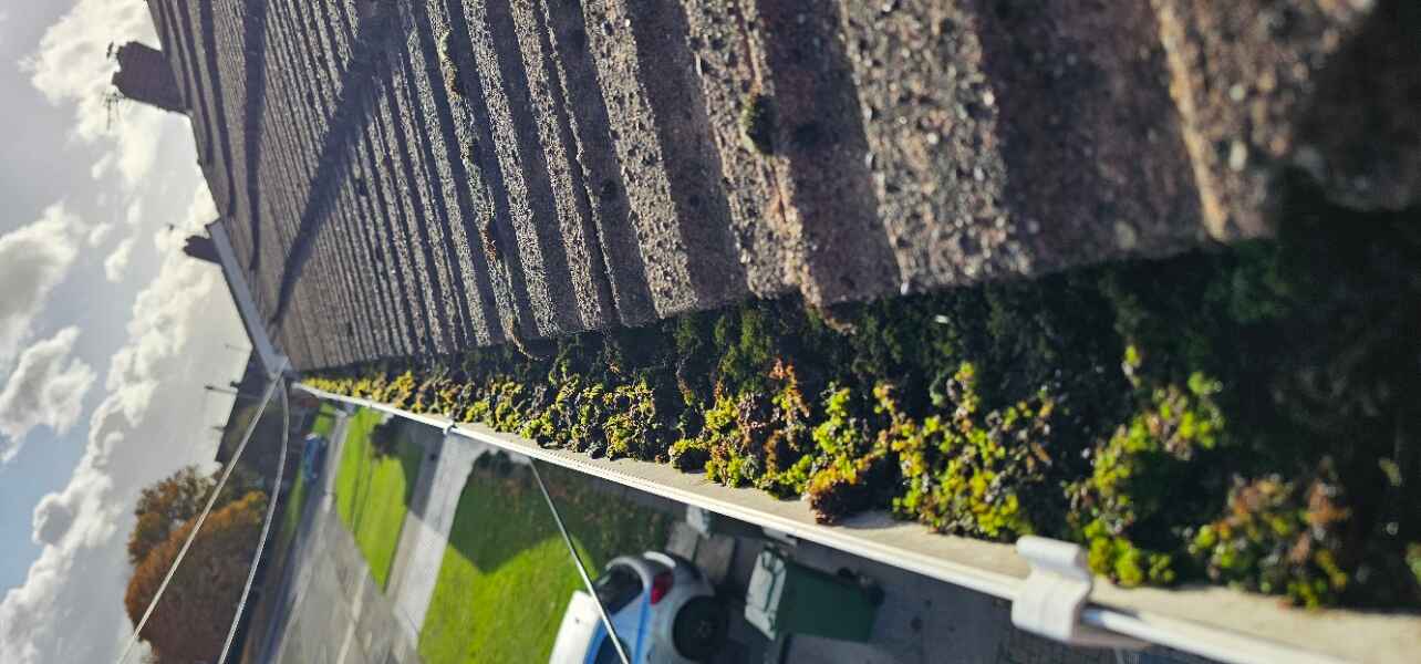 Blocked gutter before cleaning