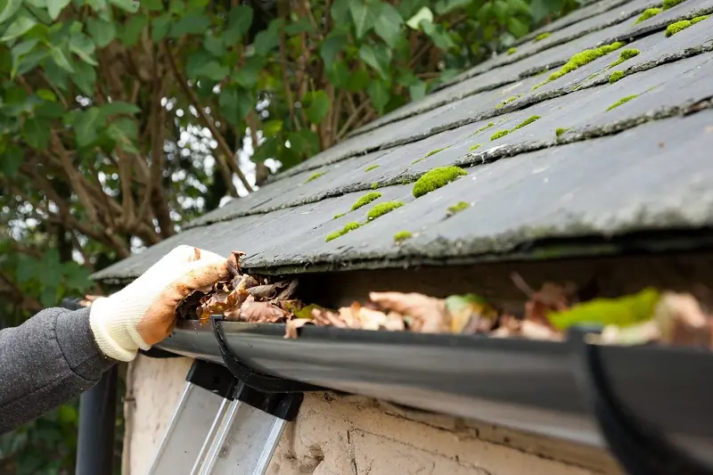Gutter Clearing